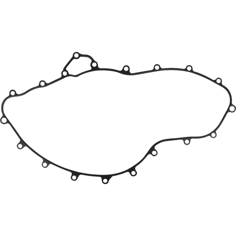 Crankcase Gasket