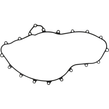 Crankcase Gasket
