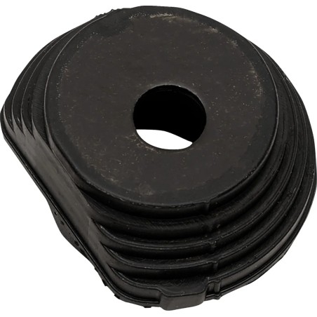 Swingarm Pivot Mount