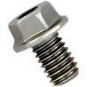 Replacement Exhaust Bolt