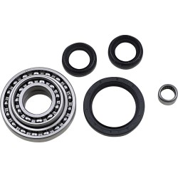 Differential Bearing Seal Kit
