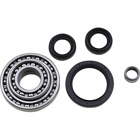 Differential Bearing Seal Kit