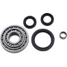 Differential Bearing Seal Kit