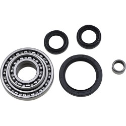 Differential Bearing Seal Kit