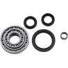 Differential Bearing Seal Kit