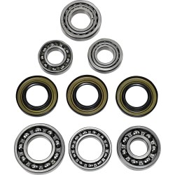 Differential Bearing Seal Kit
