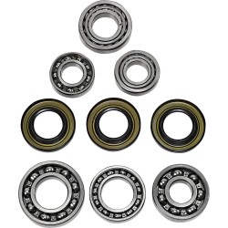 Differential Bearing Seal Kit