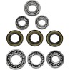 Differential Bearing Seal Kit