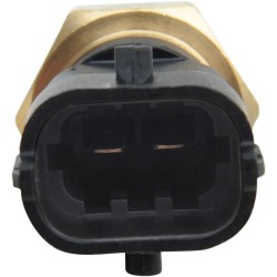 Sonde électrique de température de l'injection