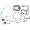 Complete Gasket and Oil Seal Kit