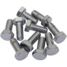 Replacement Hex-Head Bolts