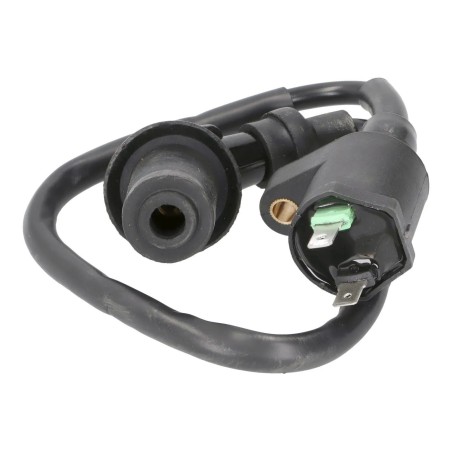 Ignition Coils