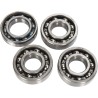 Counter Balancer Bearing Kit
