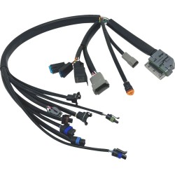 EFI Harness