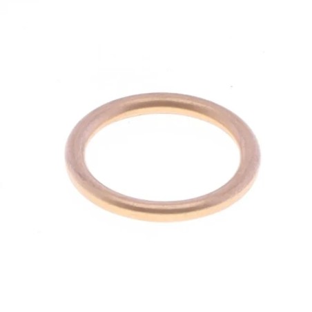 Exhaust Gasket