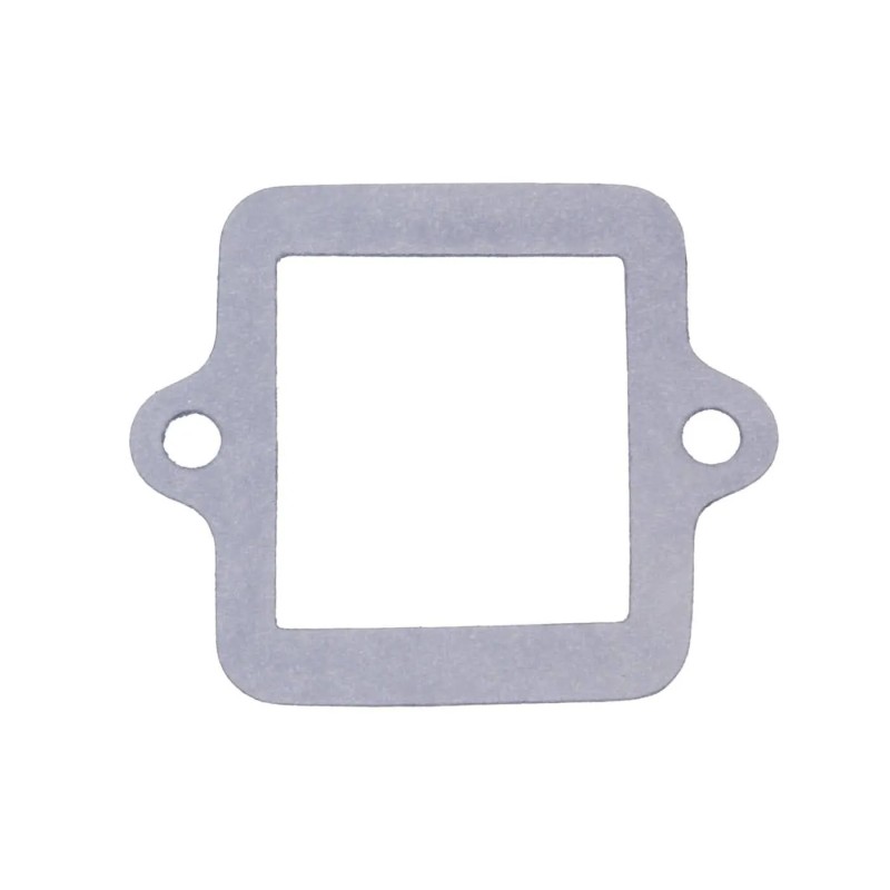 Reed Valve Gasket