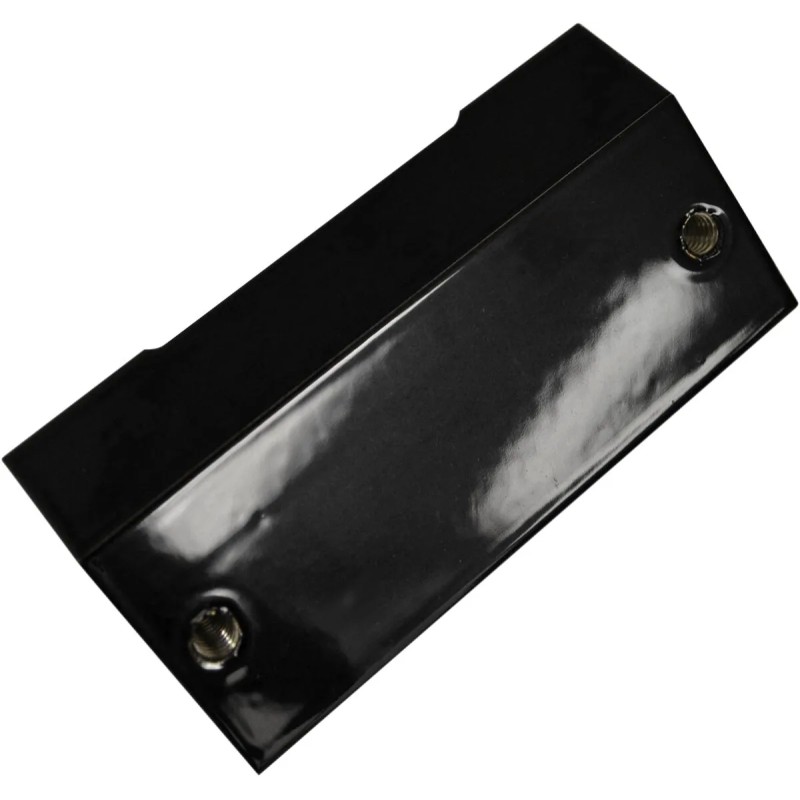 Custom Regulator Mount