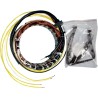 Stator pour Honda