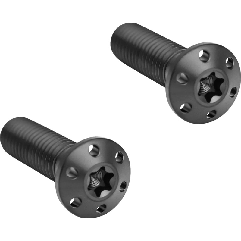 Brake Caliper Mounting Bolts