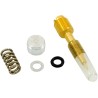 Fuel Mixture Screw Set