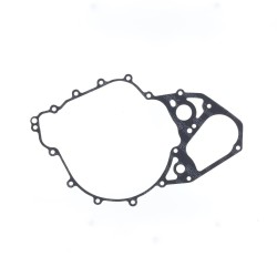 Ignition Gasket