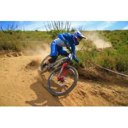 AVID JUICY 5, Fixed Disc Wave