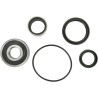 Wheel Bearing and Seal Kit
