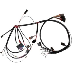 Complete Bike Wiring Harness