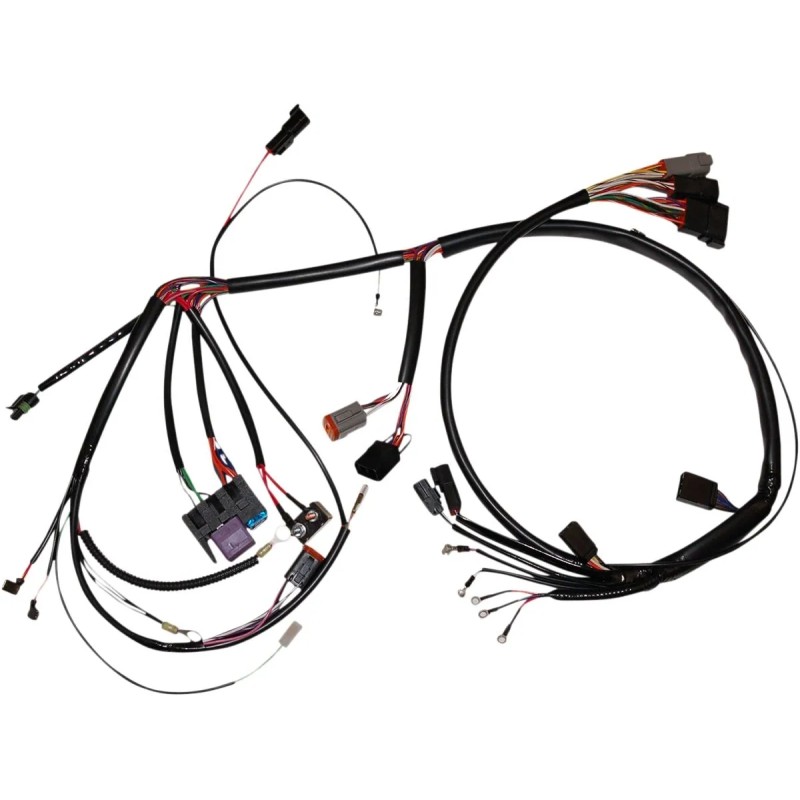 Complete Bike Wiring Harness