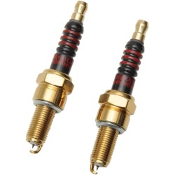 Iridium Spark Plugs