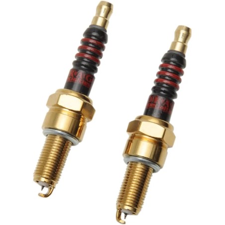 Iridium Spark Plugs