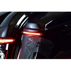 Bag Blades  Accent Lights