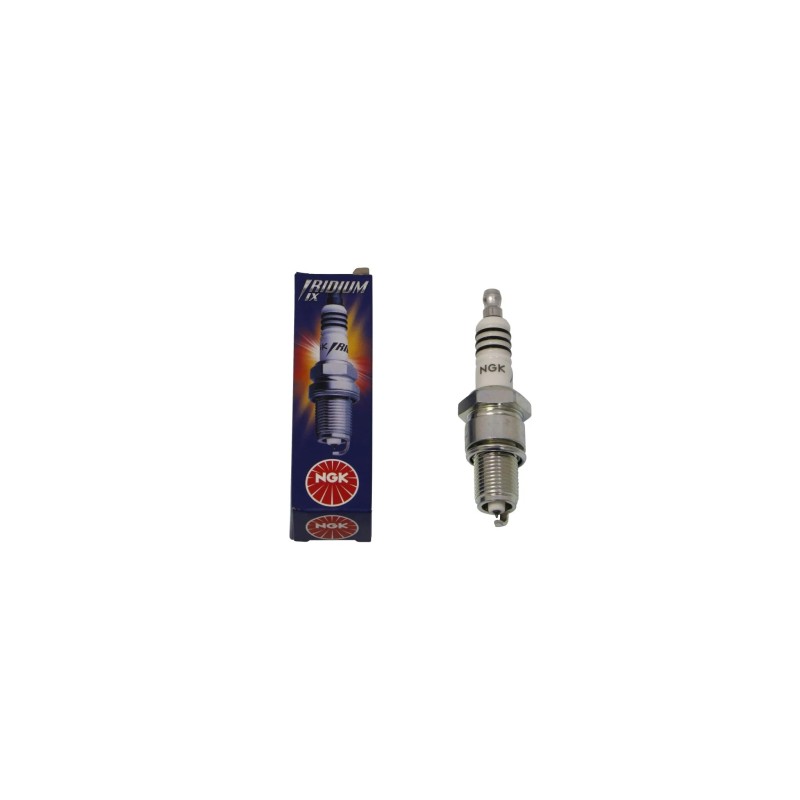 Iridium IX Spark Plug