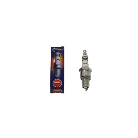 Iridium IX Spark Plug