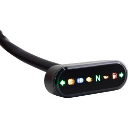 Gauge Indicator Light