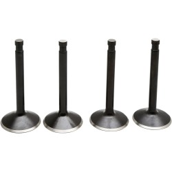 Black Diamond  Engine Valve Kit