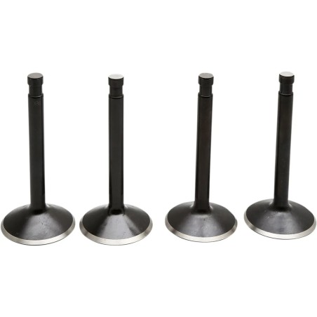 Black Diamond  Engine Valve Kit