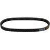 UA Drive Belt