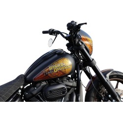 Cache de console centrale pour Harley
