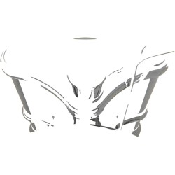 Minicompteur de vitesse électronique programmable avec odomètre/compteur kilométrique