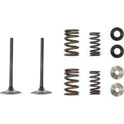 Intake Valve and Spring Kit