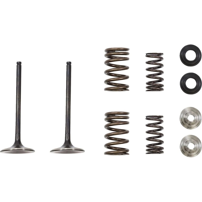 Intake Valve and Spring Kit