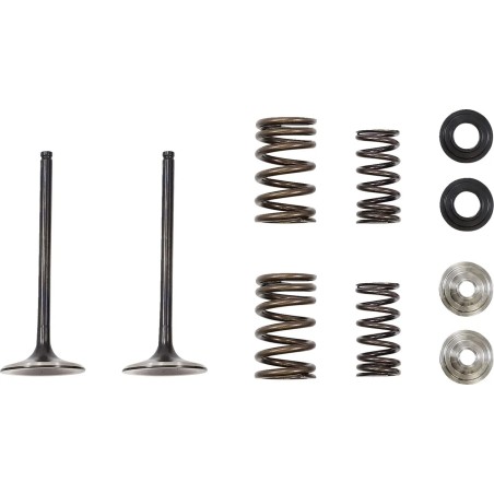 Intake Valve and Spring Kit