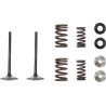 Intake Valve and Spring Kit