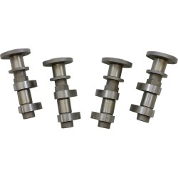 Came hautes performances