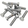 Replacement Hex-Head Bolts