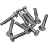 Replacement Hex-Head Bolts