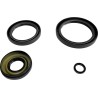 Differential Seal Kit