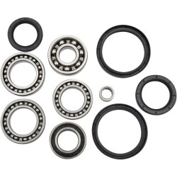Bearing Seal Kit