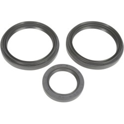 Differential Seal Kit